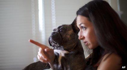 Dog watching TV with its owner