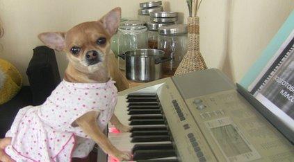 Juileta can play the piano!