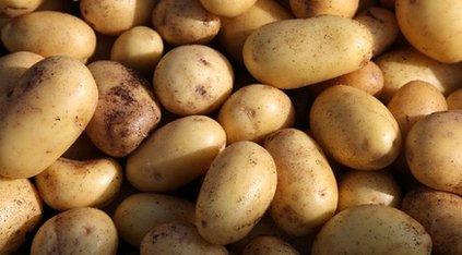 potatoes