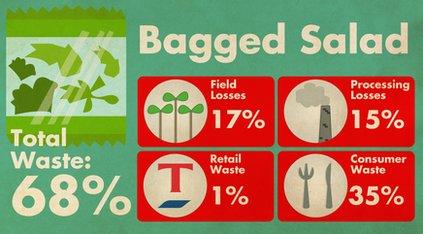 Bagged salad waste statistics