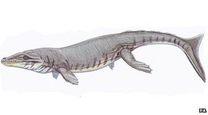 Artist's impression of a Dakosaurus maximus