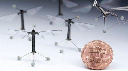 The robots beat their wings 120 times a second