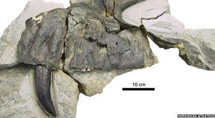 Upper-jaw part