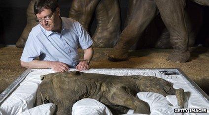 Adrian Lister with the baby mammoth