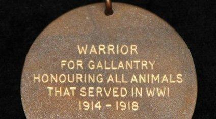 Reverse of Warrior's Honorary PDSA Dickin Medal