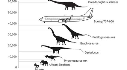 Titanosaur