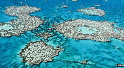 An aerial view of the Great Barrier Reef off the coast of Australia.