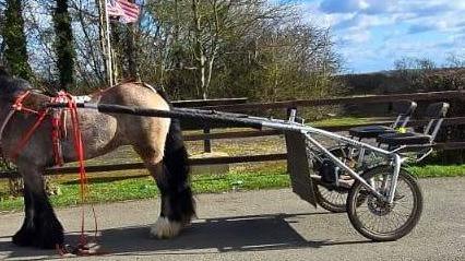 Two simple black seats on wheels, connected by a metal bars to a grey and black horse which is wearing red reins. It is parked on a road next to a wooden fence, behind which are USA and UK flags on poles.  There are trees in the background.