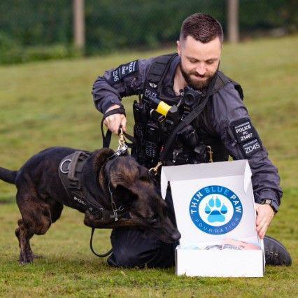 A police dog looks into a white cardboard box which says Thin Blue Paw Foundation on it, while a police officer looks down at the box and holds the dog's lead