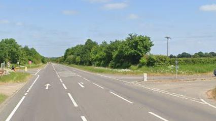 An empty road with trees and greenery on either side 