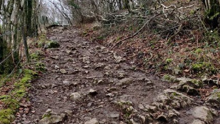 Gorge Walk at Cheddar Gorge showing churned-up earth and a muddy covering