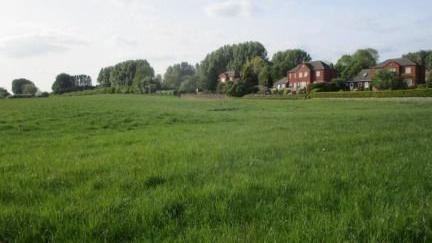 A field full of green grass. In the distance there are trees and hedges, as well as red brick houses.