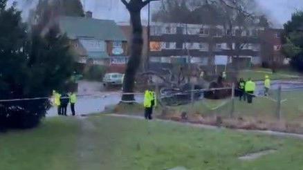 Police officers have taped off the scene of an incident where a tree has fallen on a car. There is a grass area in the foreground, and a block of flats in the distance.
