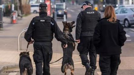 Three police officers seen from behind walking across a bus stop area next to a street. Two male officers in black police vests hold the leads of dogs. The dog in the centre of the two men, a Belgian Malinois Swift, is jumping up, his head angled towards his handler. The officer at the back is female and has brown hair in a pony tail. A street with a small amount of traffic and traffic lights can be seen stretching into the distance.