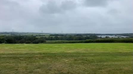 A green field at Pyworthy with trees and power lines in the distance - the proposed site for the battery energy storage facility