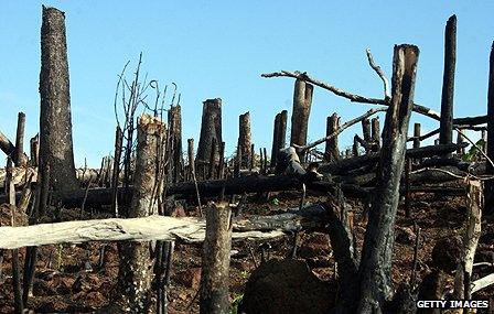 Deforestation in Madagascar