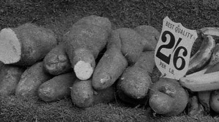 Some sweet potatoes and plantains displayed on a market stall