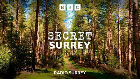 A footpath leads through a woodland of pine trees. The text Secret Surrey is written in front.