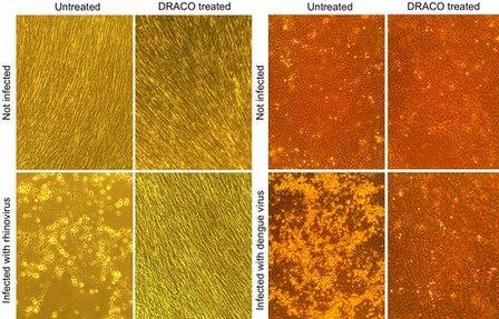 Results from Draco testing