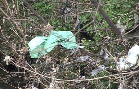 The banks of the river Dodder in Dublin are littered with plastic bags