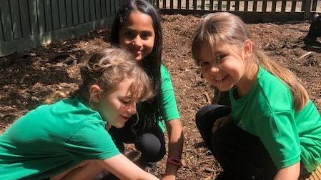 Three children stroking a pig, wearing a green tops