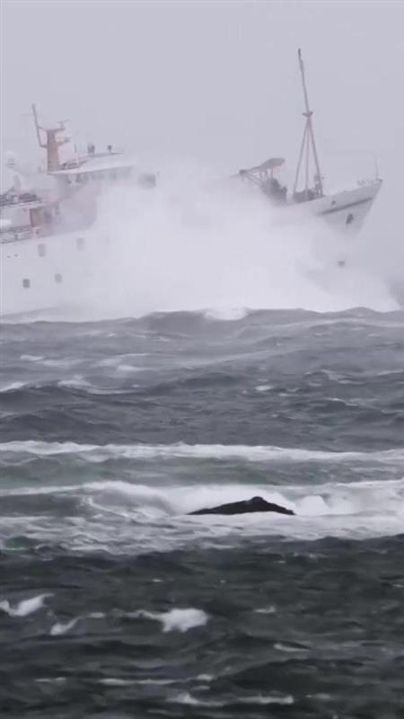 A white boat on the sea. There are large waves. The sky is grey. 