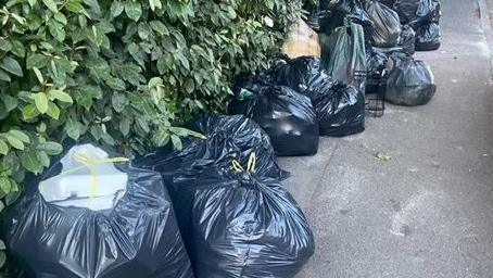 A row of black binbags lined up on a street underneath some bushes