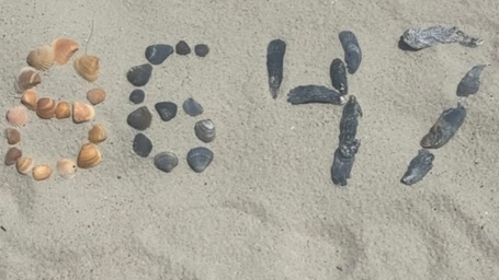 Close-up shot of sand with a bunch of shells and rocks spelling out 86 and 47
