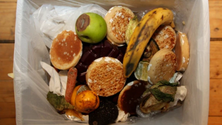 Food waste is photographed from above in a bin. The bin is stood on floorboards within a white bin liner.