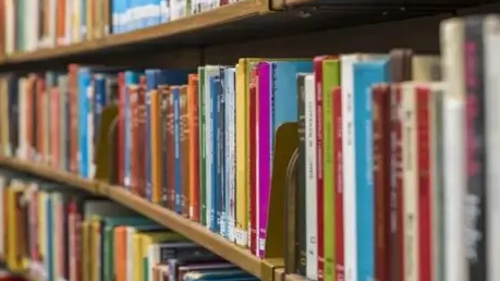 Books on a library shelf