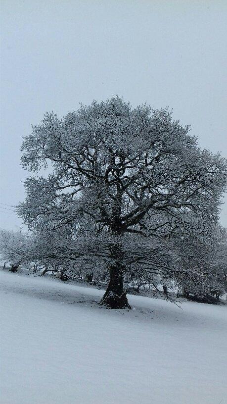 Yn Harford, Llanwrda