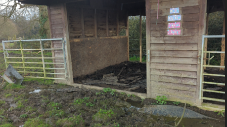 A neglected shelter and field of thick mud was the donkeys shelter and home