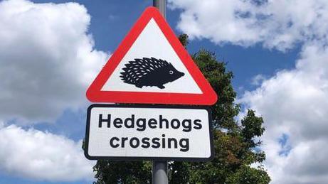 Red triangle sign with Hedgehog inside. Warning reads 'hedgehogs crossing'