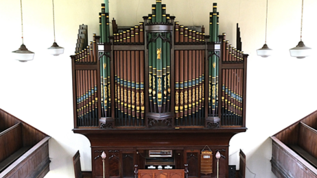 Organ bib
