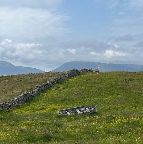A grassy field with yellow flowers dotted around it. There is an old wooden row boat in the centre of the image in front of a dark-coloured stone wall. The sky above is light blue and covered with a white cloud. The hills in the background are a dark silhouette.