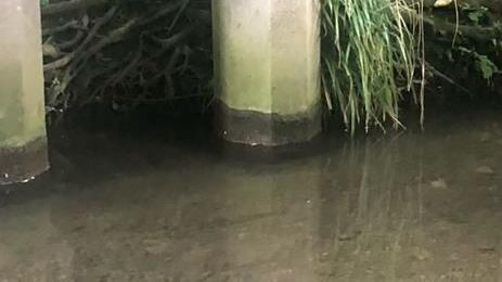 A wet mark left behind by a river level on a concrete beam supporting a bridge overhead