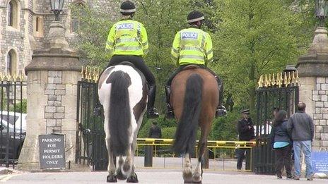 Police horses