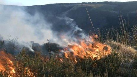 A grass fire