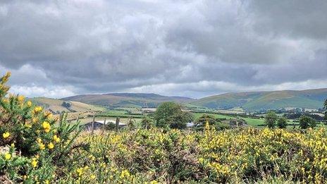 Grey cloudy skies over mountains with fields and gorse bushes in the foreground