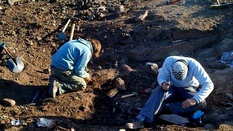 Members of the Argentine Museum of Natural Sciences unearth fossils of a megaraptor, at El Calafate, Santa Cruz, Argentina March 13, 2020Members of the Argentine Museum of Natural Sciences unearth fossils of a megaraptor, at El Calafate, Santa Cruz, Argentina March 13, 2020