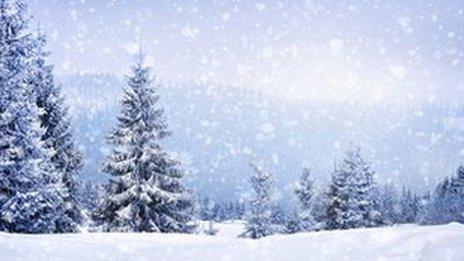 snowy scene