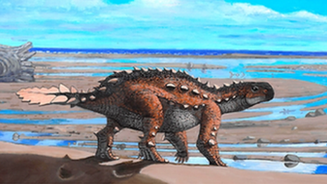 Artist's impression of the new species, Stegouros elengassen