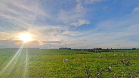 The sun shines brightly on the left in a blue sky with a green field with sheep below