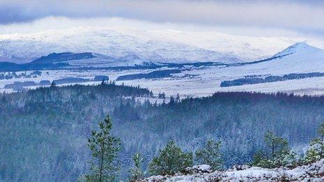 White snow capped mountains with a forest in the foreground