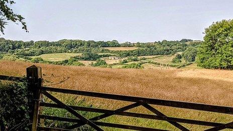 Fields full of crops, with grass fields in the background and hazy sky