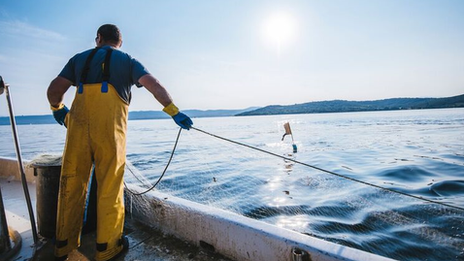 fishing