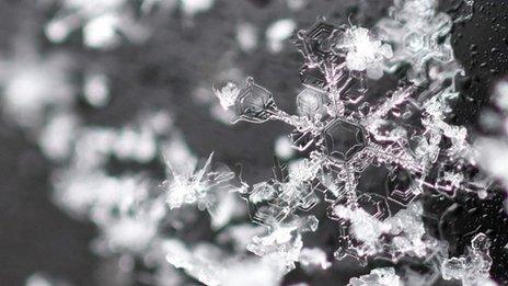 Closeup of a snowflake