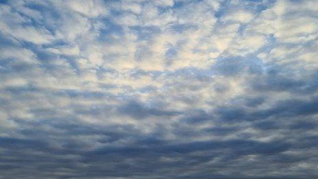 A full screen of white fluffy clouds set in a bright blue sky