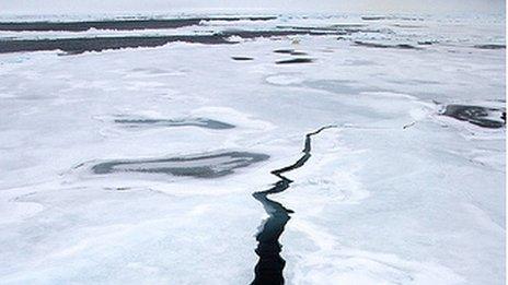 Arctic sea ice