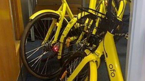 Ofo bikes in Sheffield